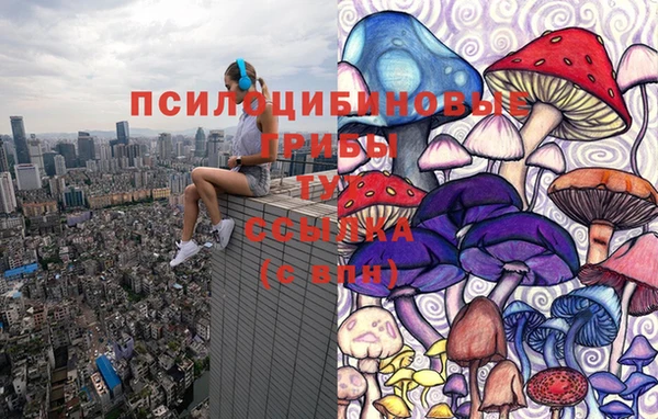 ПСИЛОЦИБИНОВЫЕ ГРИБЫ Волосово