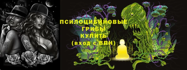 ПСИЛОЦИБИНОВЫЕ ГРИБЫ Волосово