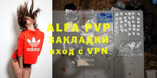 ПСИЛОЦИБИНОВЫЕ ГРИБЫ Волосово