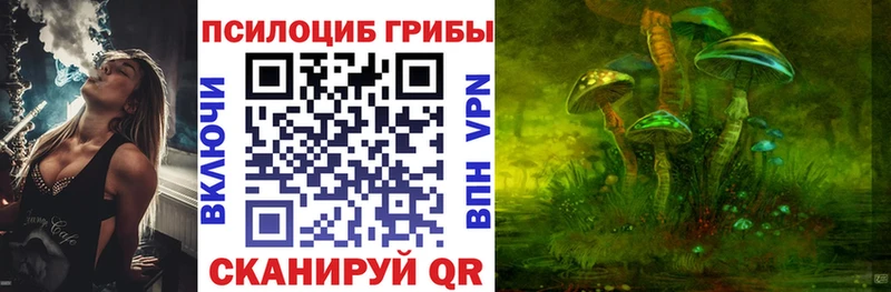 Псилоцибиновые грибы прущие грибы Пестово